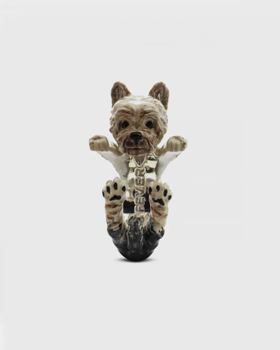 ANELLO HUG YORKSHIRE SMALTATO