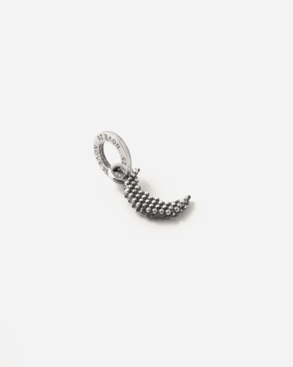 CIONDOLO MINI CHARM LUNA PUNTINATA IN ARGENTO